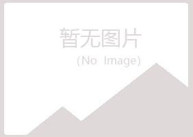 和平区白山建筑有限公司